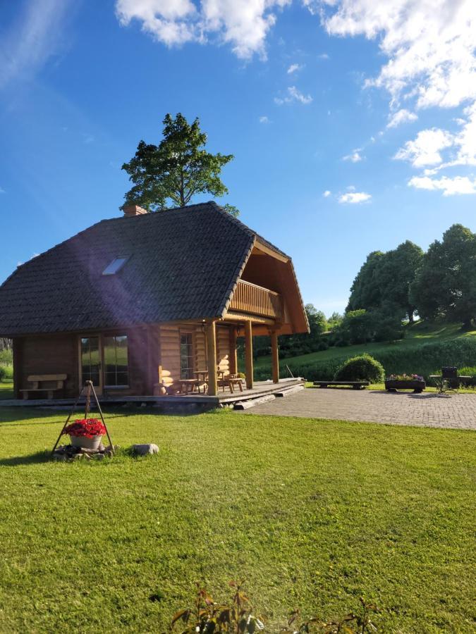 Brivdienu Maja Ar Pirti "Strautkalni" Ieriki Extérieur photo